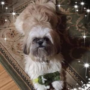 Meet your Posher, Rhonda